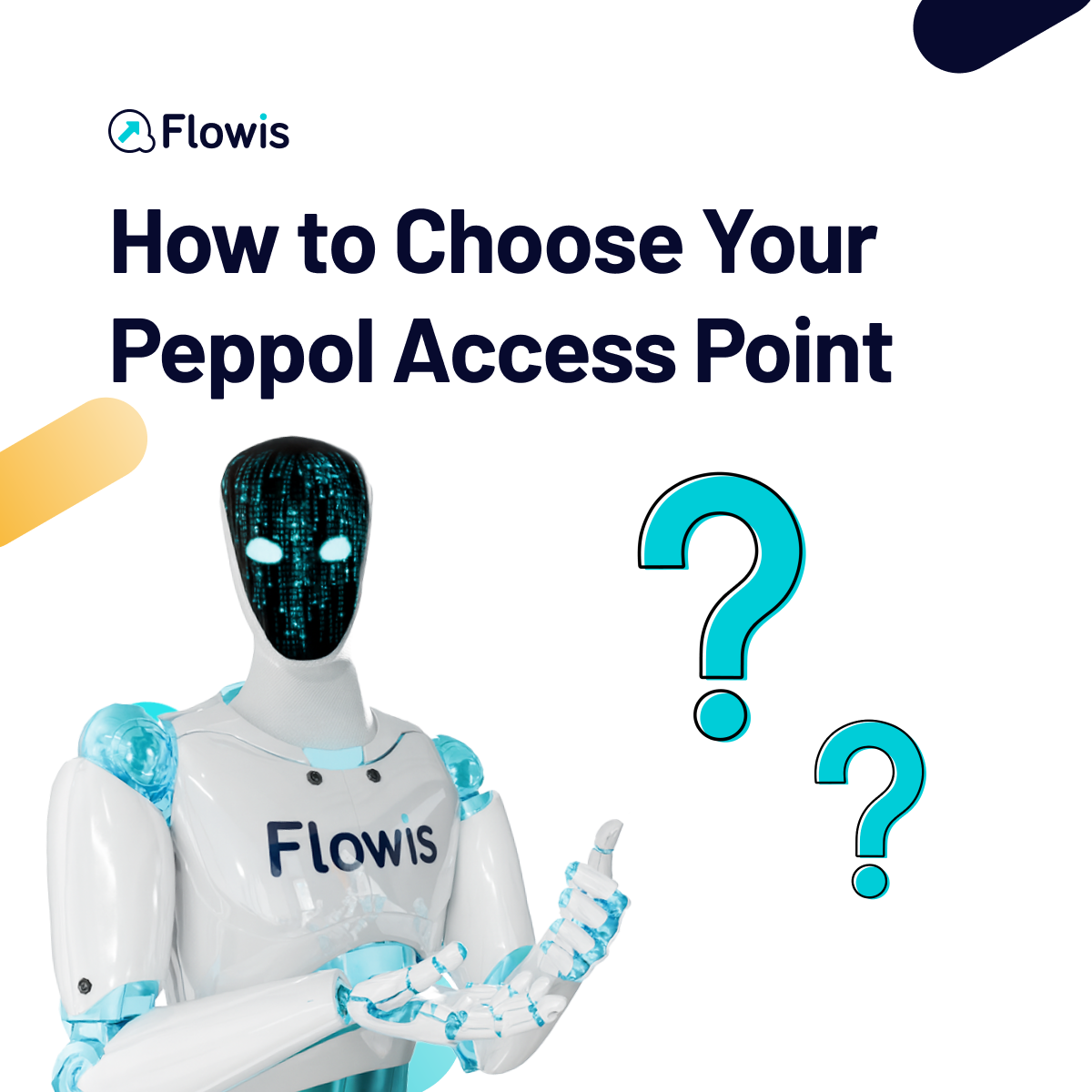 How to choose peppol access point